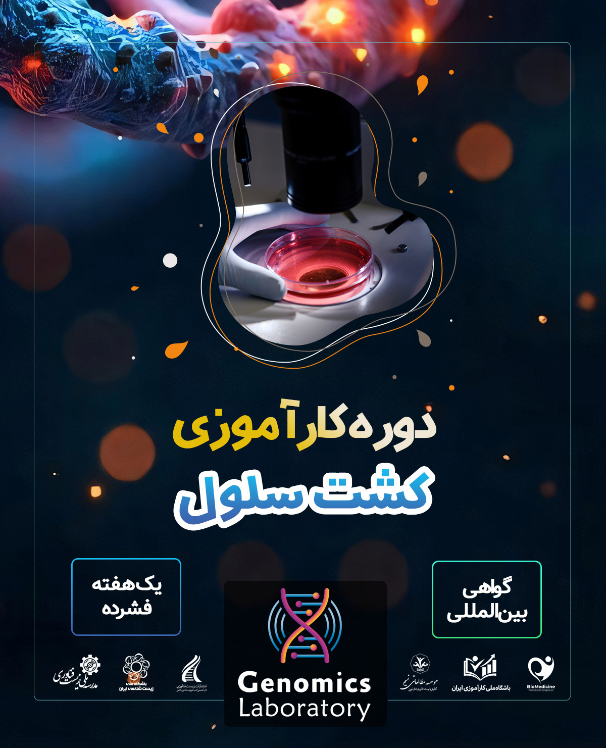 دوره کارآموزی بین المللی کشت سلول 