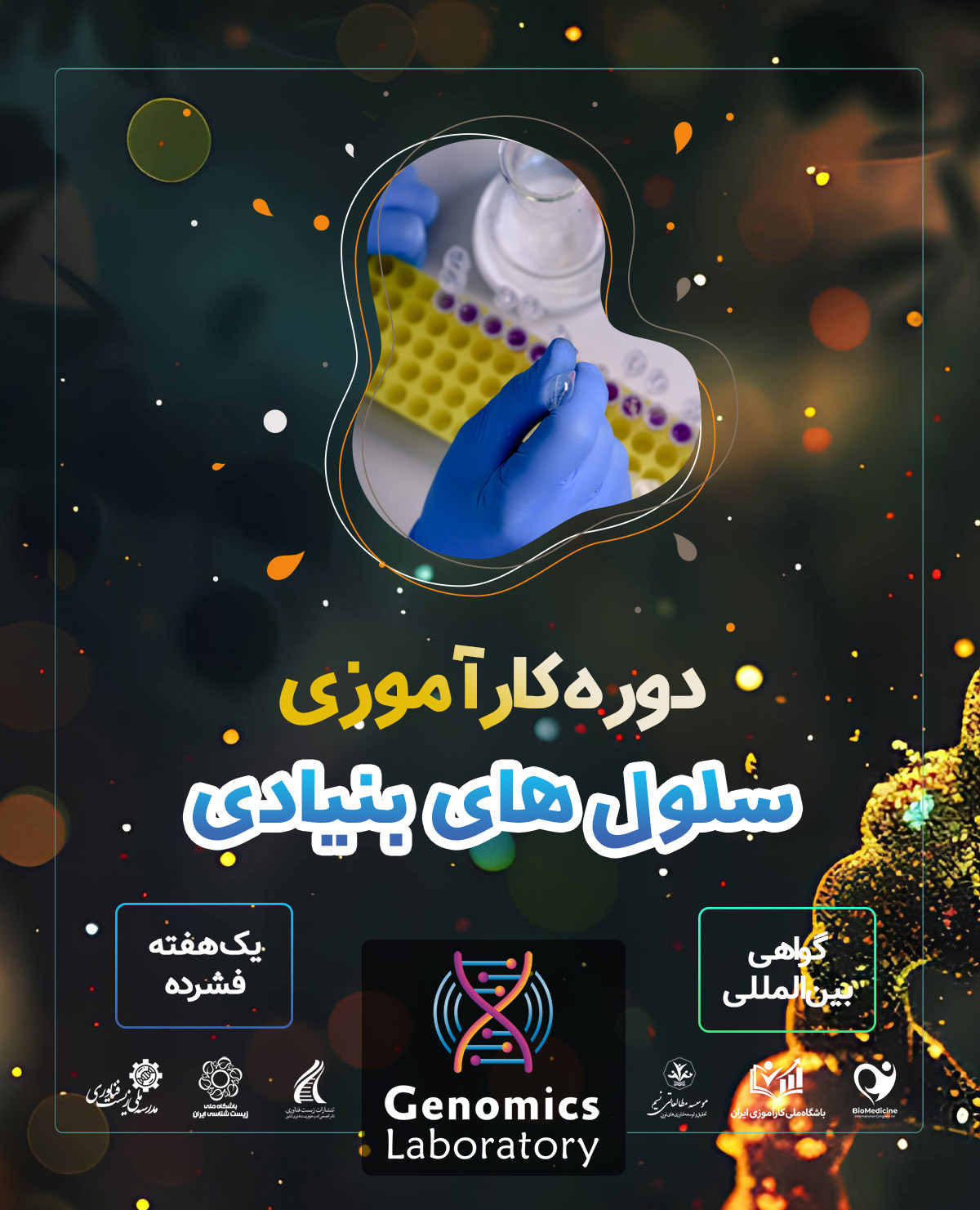 کارآموزی بین المللی سلول های بنیادی و پزشکی بازساختی