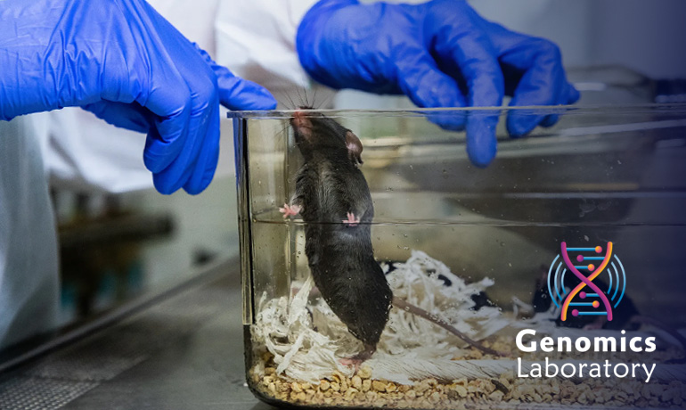 آزمایشگاه حیوانات (حیوانی)